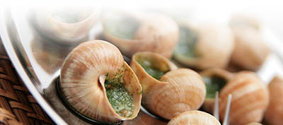 Escargots de Poisy en haute Savoie production locale